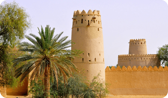العين